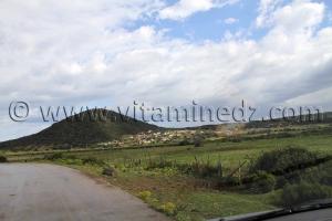 Oum Chtab (Wilaya Tarf)