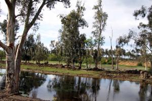 Parc National d\'El Kala, Oued Messida (Wilaya Tarf)