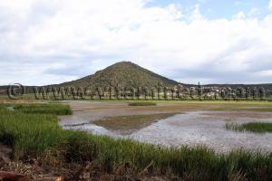 Marecages Parc National d\'El Kala, Oued Messida, Djbel Messida, Oum Chtab (Wilaya Tarf)