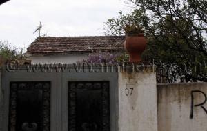 Rues de la Ville d\'El Kala (La calle) Wilaya Tarf