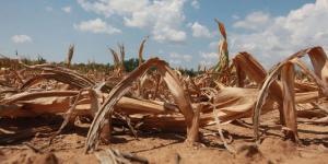 Planète - La sécheresse aux Etats-Unis est-elle due au changement climatique?
