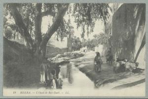 Biskra.- L'Oasis de Bab-Darb
