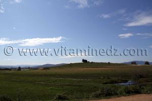 Cimetière à la sortie de Berrihane entre Annaba et El Kala (Wilaya Tarf)