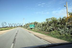 Route vers le Lac des oiseaux et El Taref, à la Commune de Berrihane entre Annaba et El Kala (Wilaya Tarf)