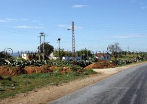 Commune de Berrihane entre Annaba et El Kala (Wilaya Tarf)