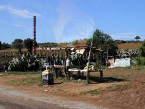 Vendeur de lait et matlou3 pain traditionnel à la commune de Berrihane entre Annaba et El Kala (Wilaya Tarf)