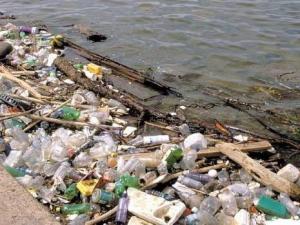 2es Assises nationales de la chimie à Annaba:  Des polluants dangereux dans la nature