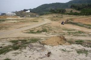 Planète - Chine: Les forêts de Hainan détruites, leur protecteur réduit au silence