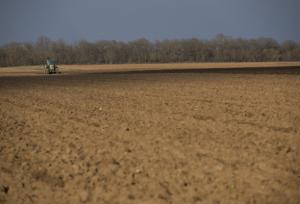 Planète - France: Agriculture   Un peu trop de pesticides dans l’air (du temps)