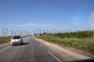 Commune de Benmhidi, wilaya de Tarf