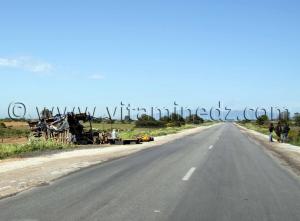 Vendeur de lait, Commune de Benmhidi, wilaya de Tarf