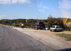 Vente de poisson, Commune de Benmhidi, wilaya de Tarf