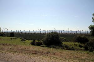 Commune de Benmhidi, wilaya de Tarf