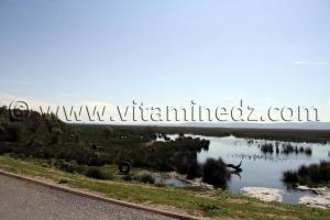 Zones humides, Commune de Benmhidi, wilaya de Tarf