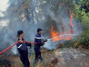 Chlef - Lutte contre les feux de forêts: La Protection civile réclame de l’aide