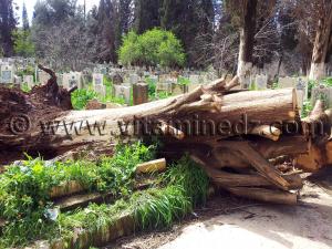 Photo cimetière ville Tlemcen, Algérie