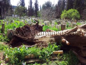 Cimetière Sidi Senoussi, ville Tlemcen, Algérie