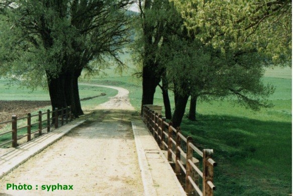 Le pont foum elguiss