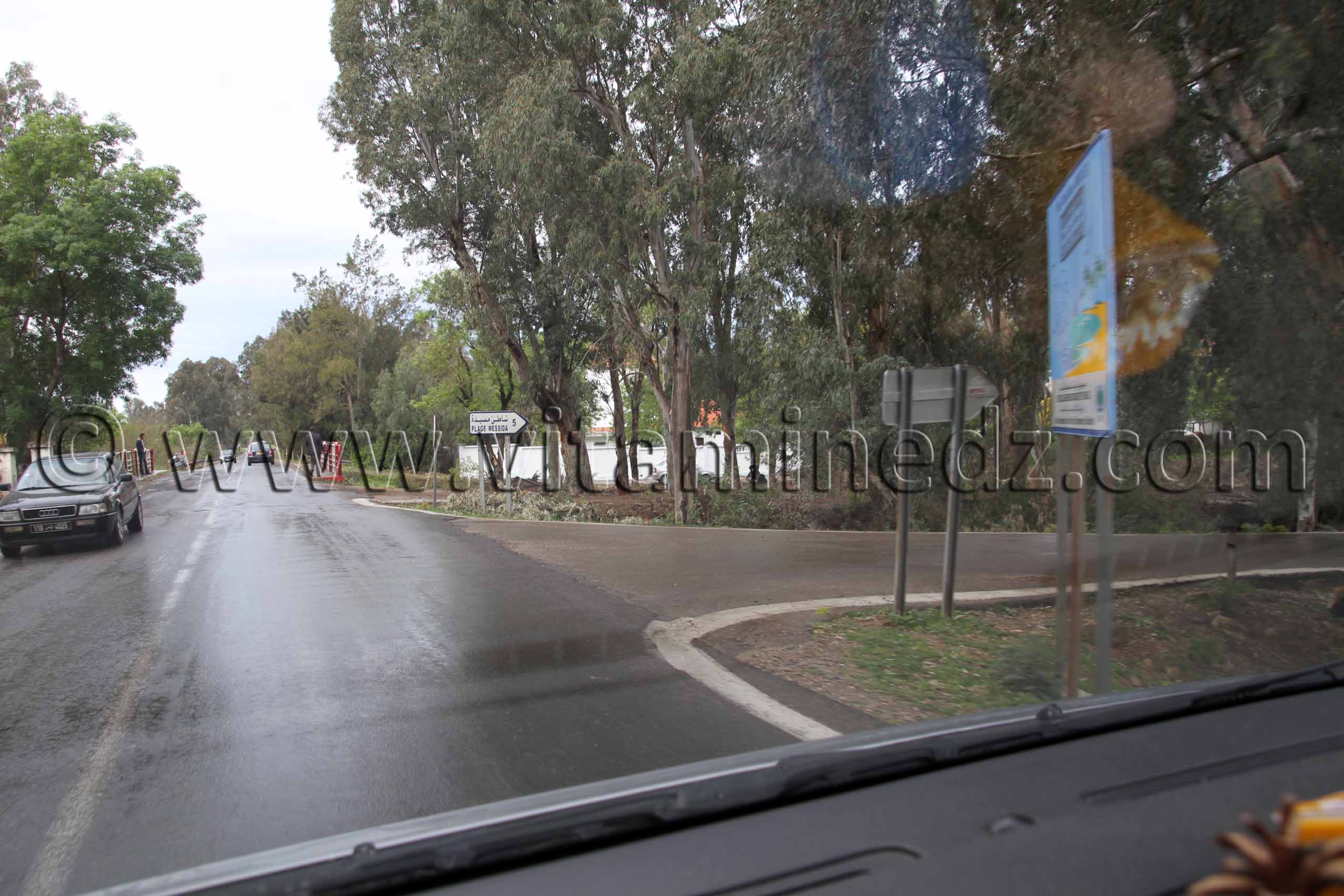 Route Plage Messida Proche de Tunisie (El Kala , Wilaya, El Tarf)
