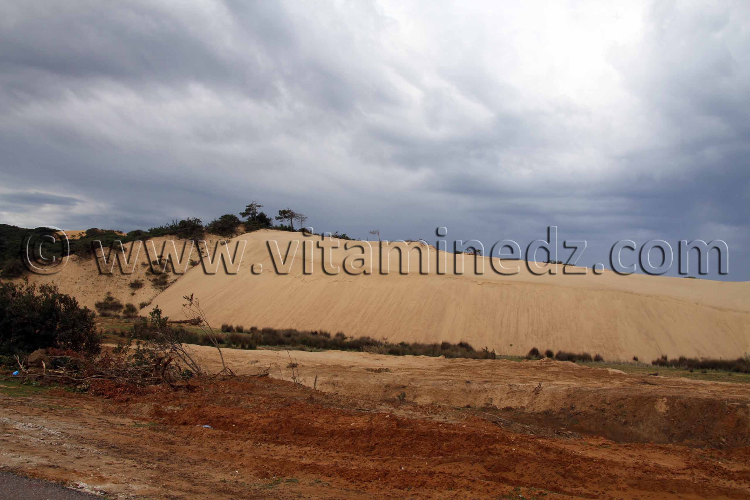 Dune protégée La Messida (El Kala , Wilaya, El Tarf)