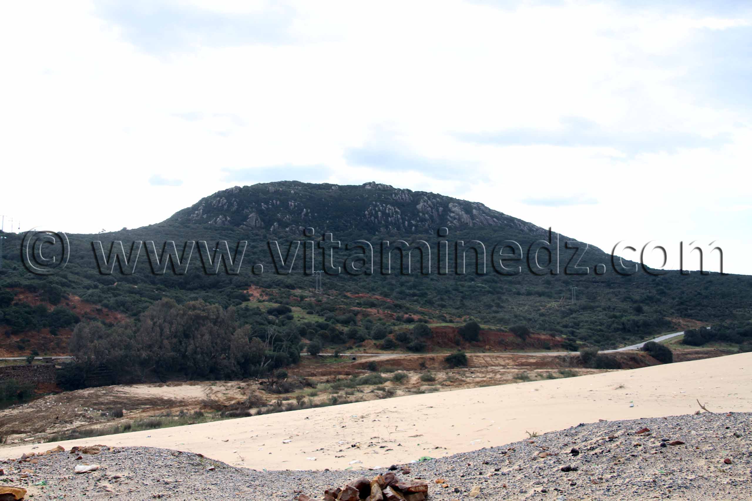 Djbel Messida (El Kala , Wilaya, El Tarf)