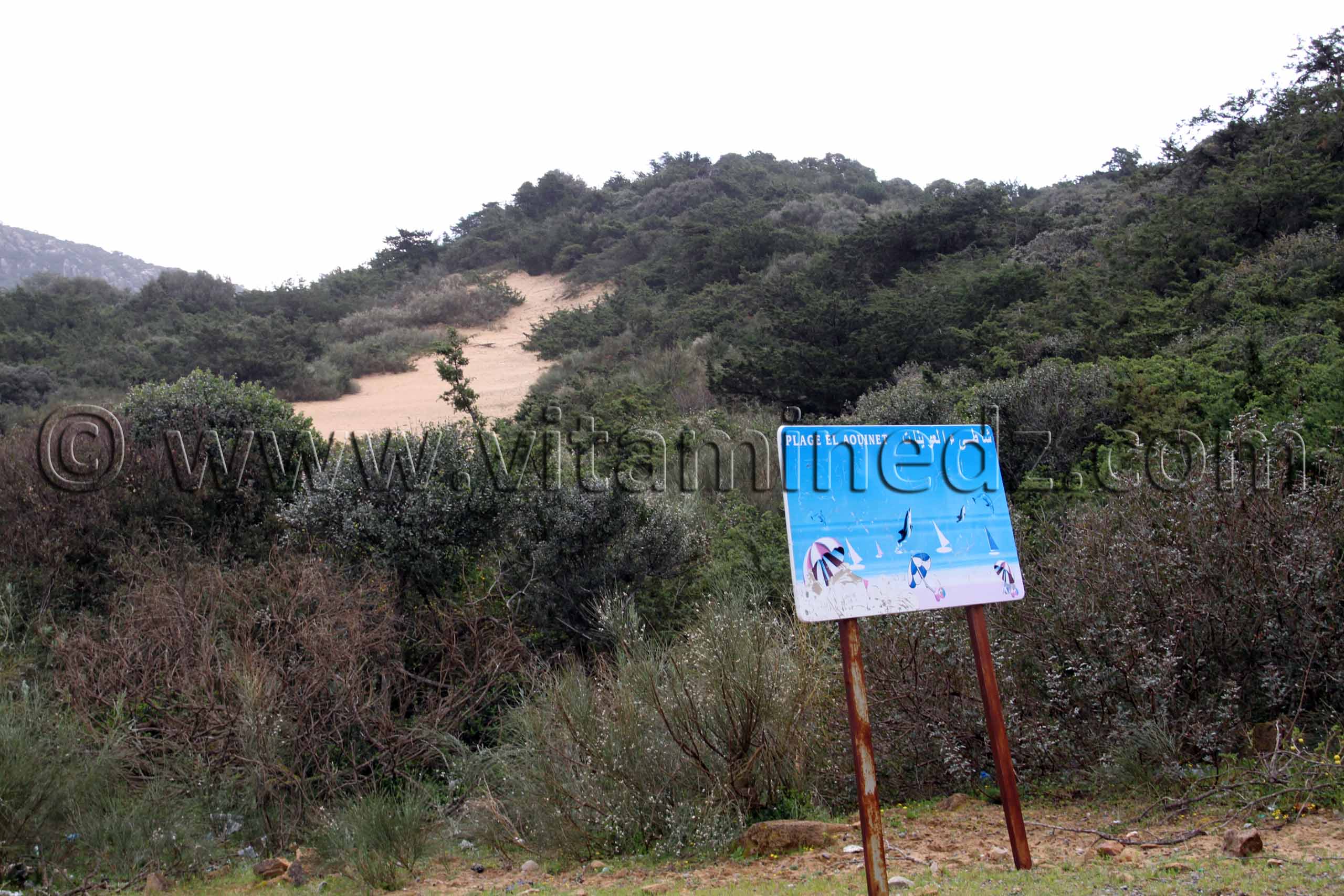 Plage d'El Aouinet Proche de Tunisie (El Kala , Wilaya, El Tarf)
