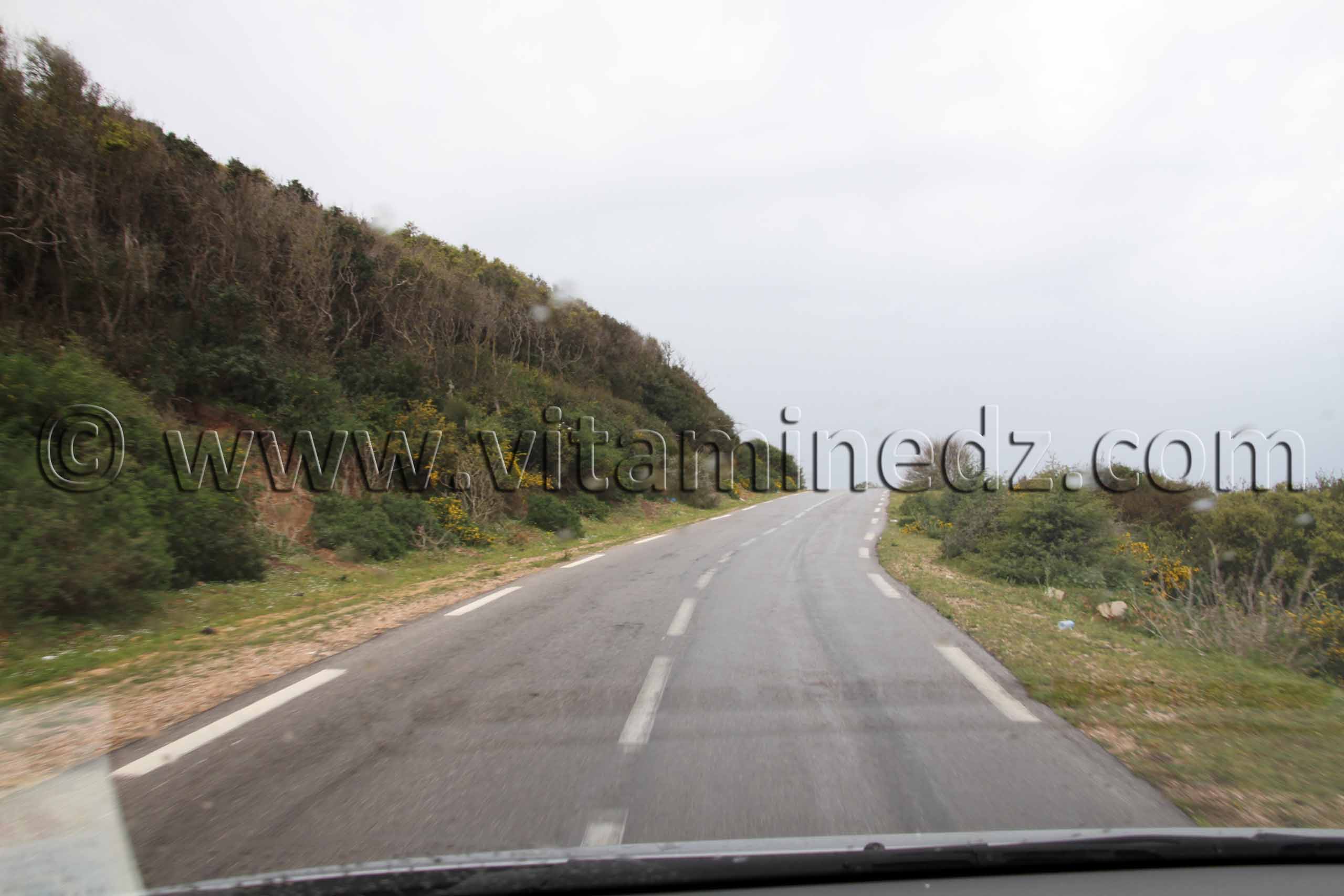 Route du littoral El Kala , Wilaya, El Tarf