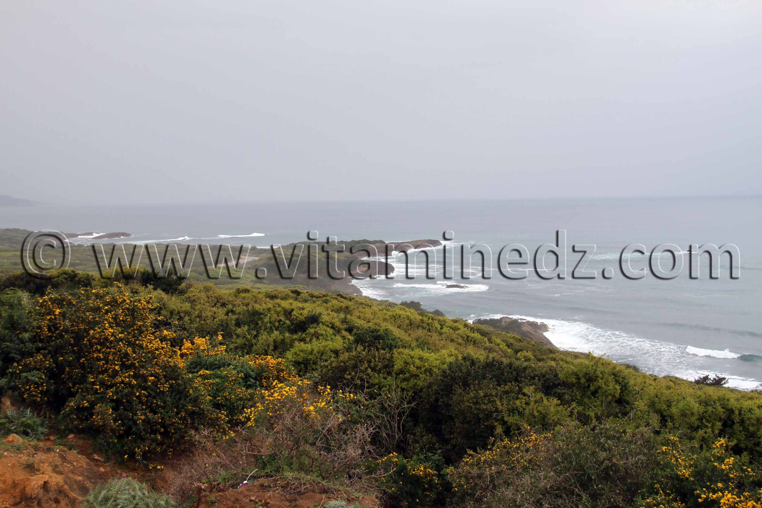 Littoral d'El Kala (Wilaya Tarf)