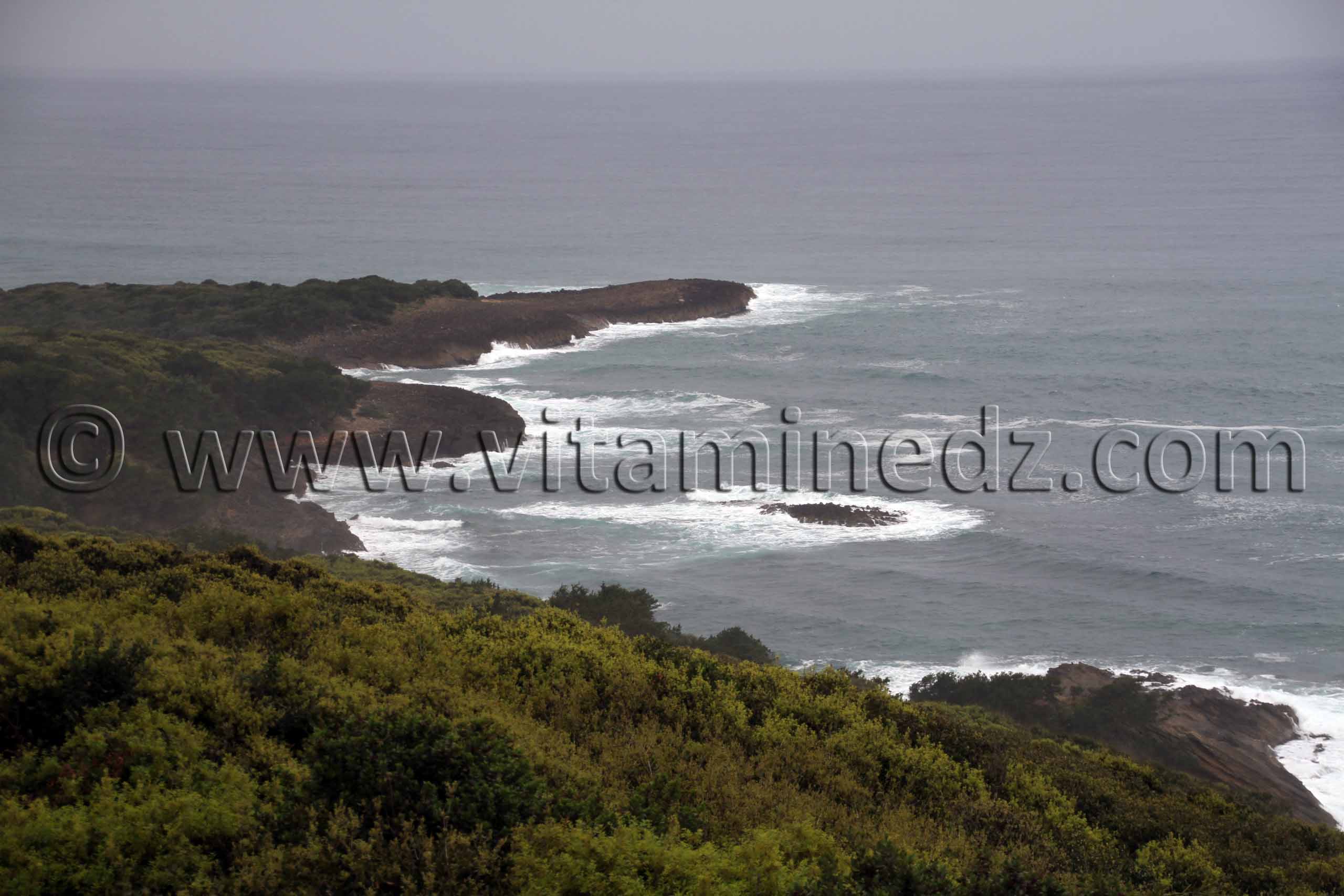 Route du littoral d'El Kala (Wilaya Tarf)