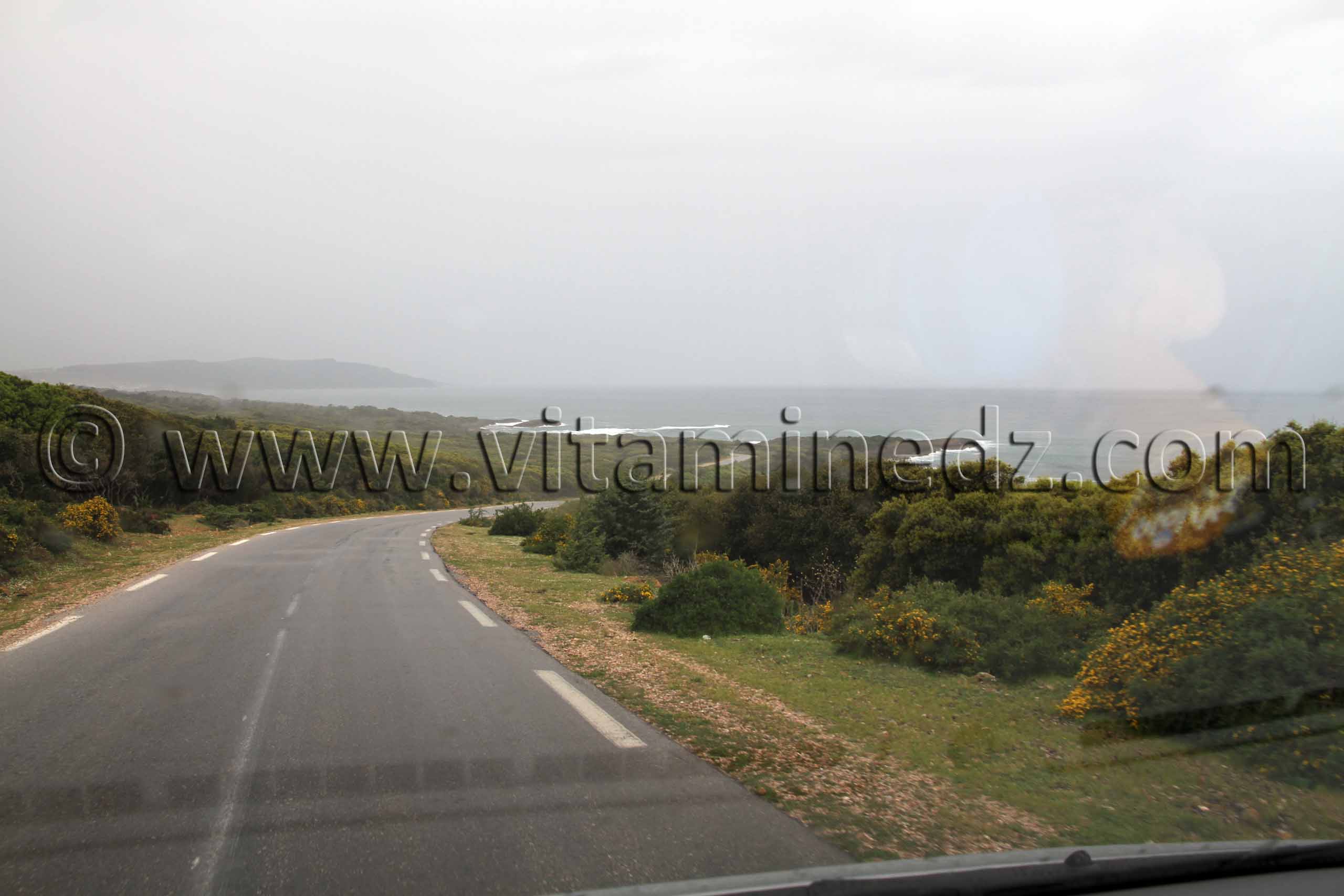 Route du littoral d'El Kala (Wilaya Tarf)