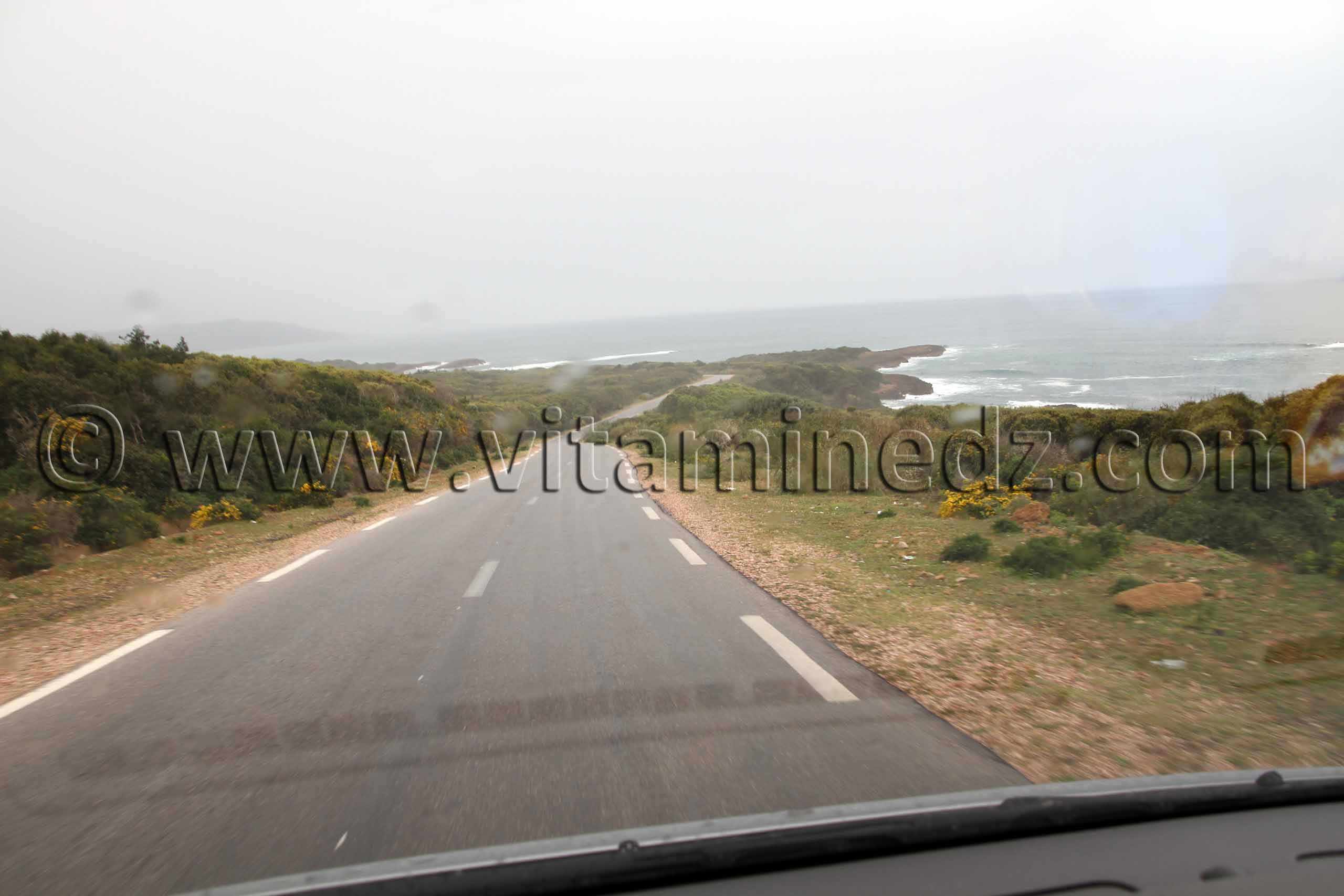 Parc national d’El-Kala qui viole les lois ? (Wilaya Tarf)