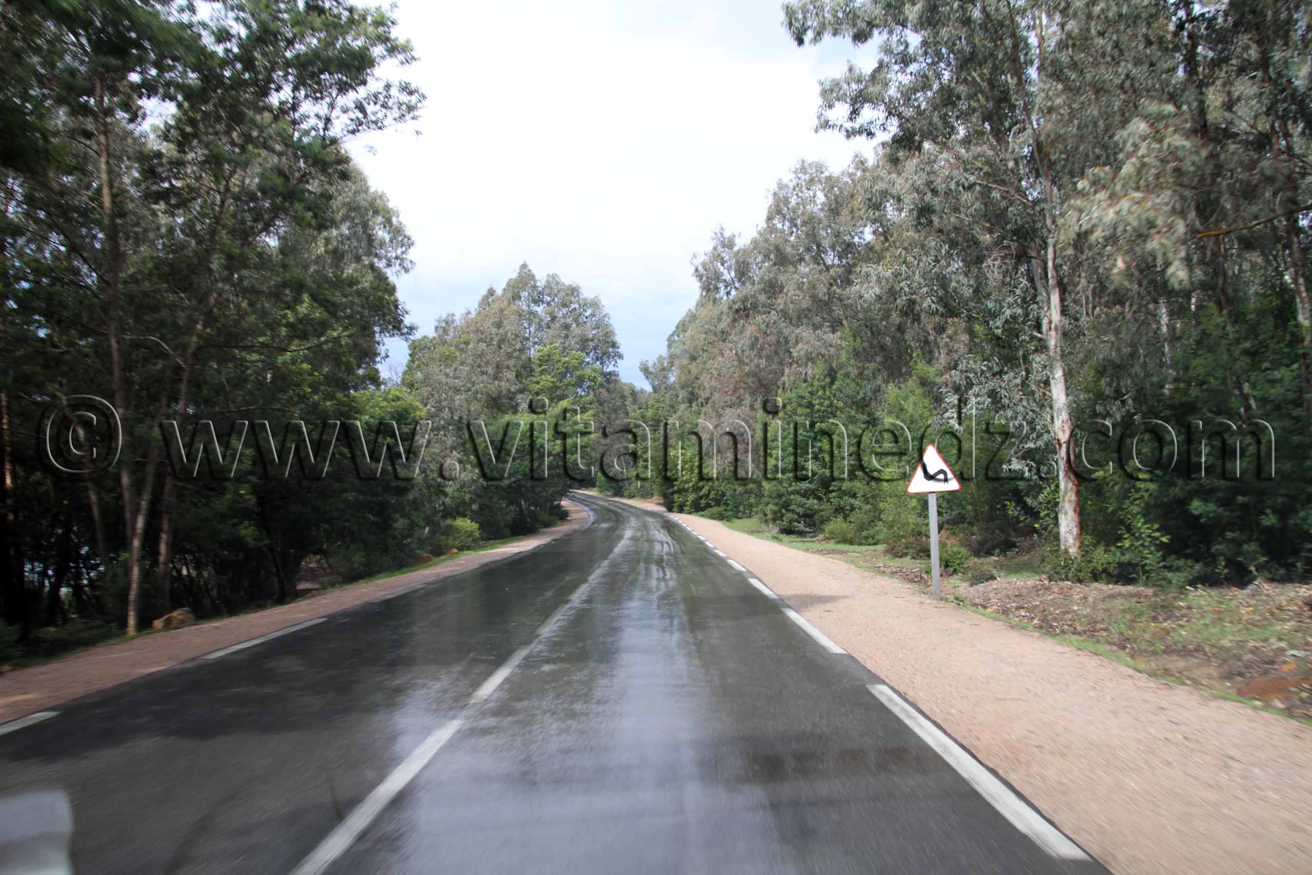 Parc National d'El Kala, Route du littoral