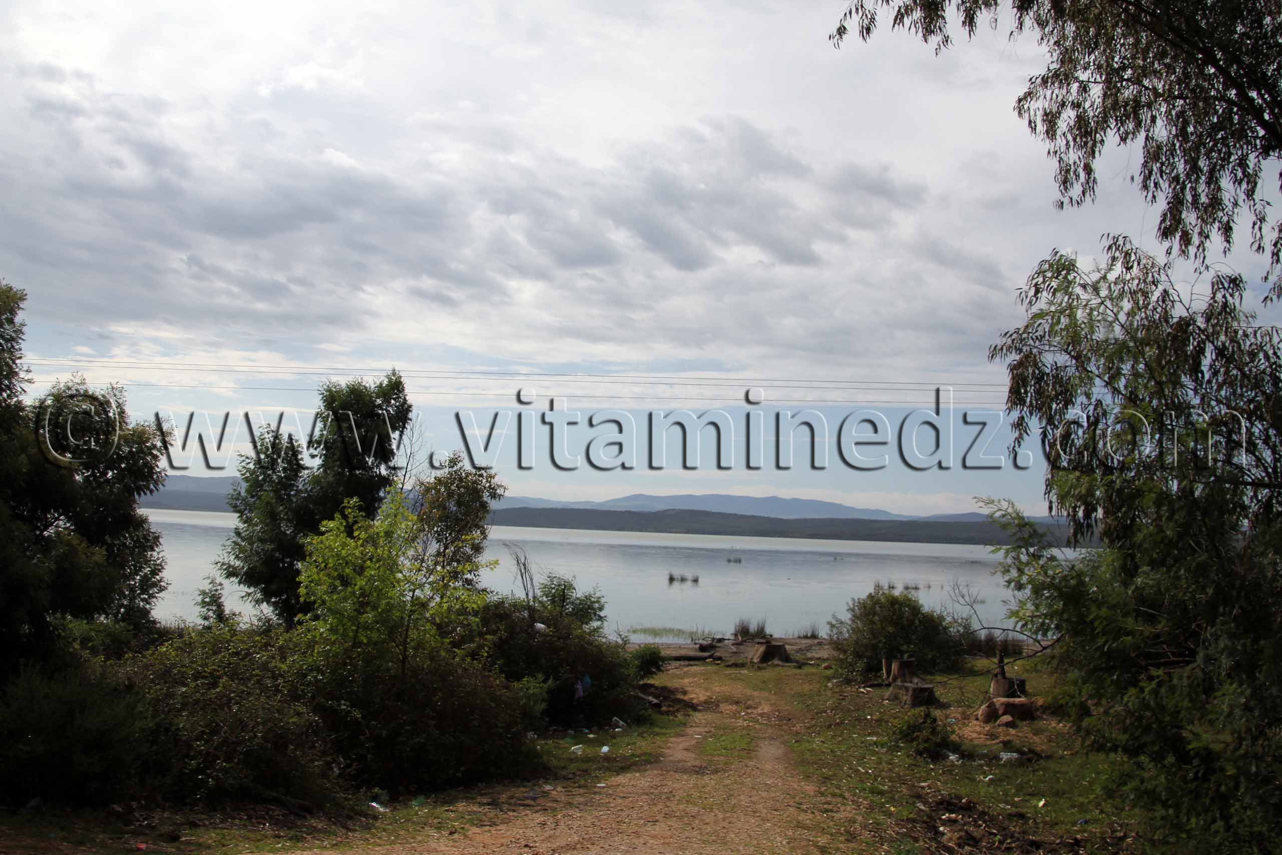 Lac Oubeïra , Parc National d'El Kala