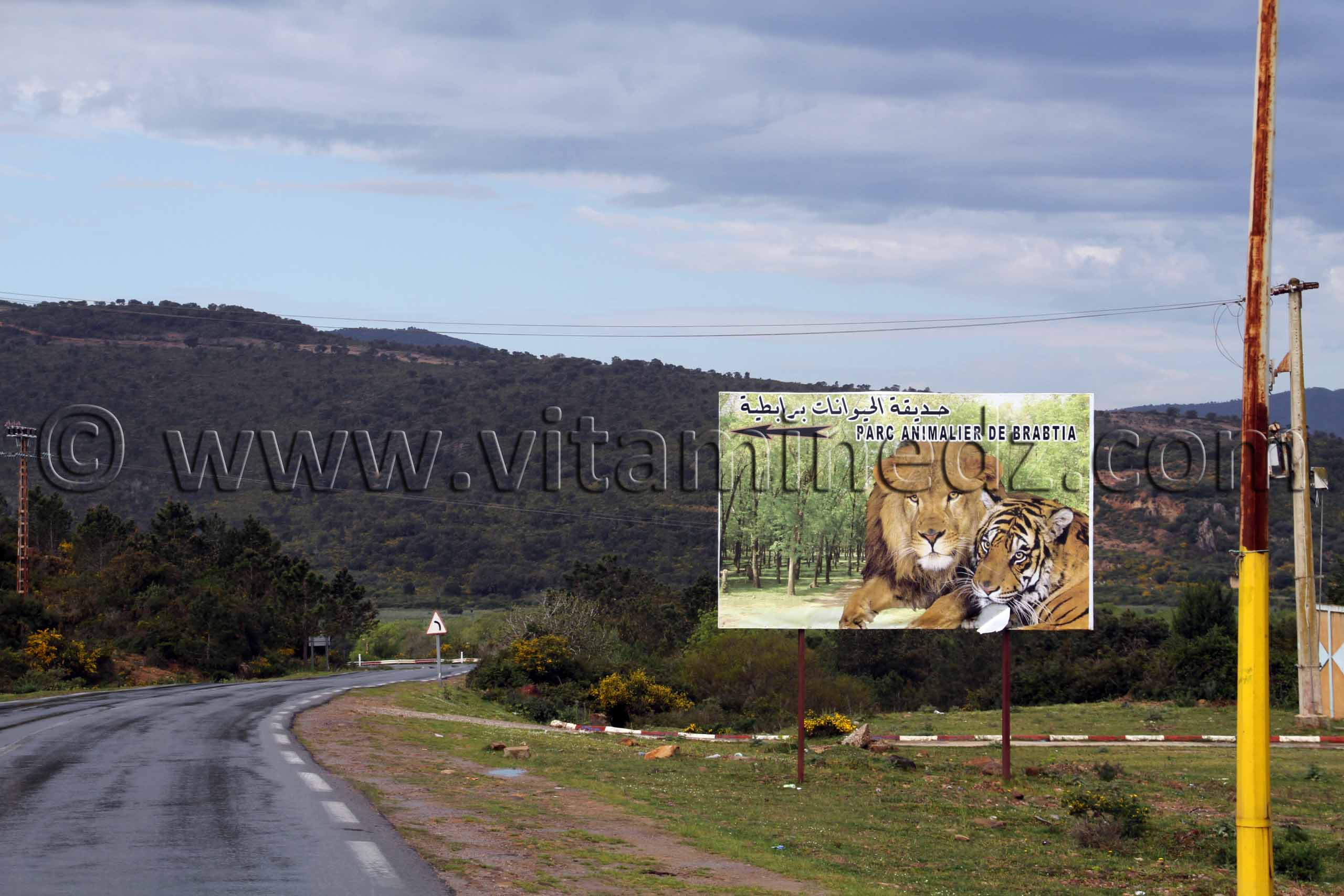 Parc Animalier de Brabtia, El Kala