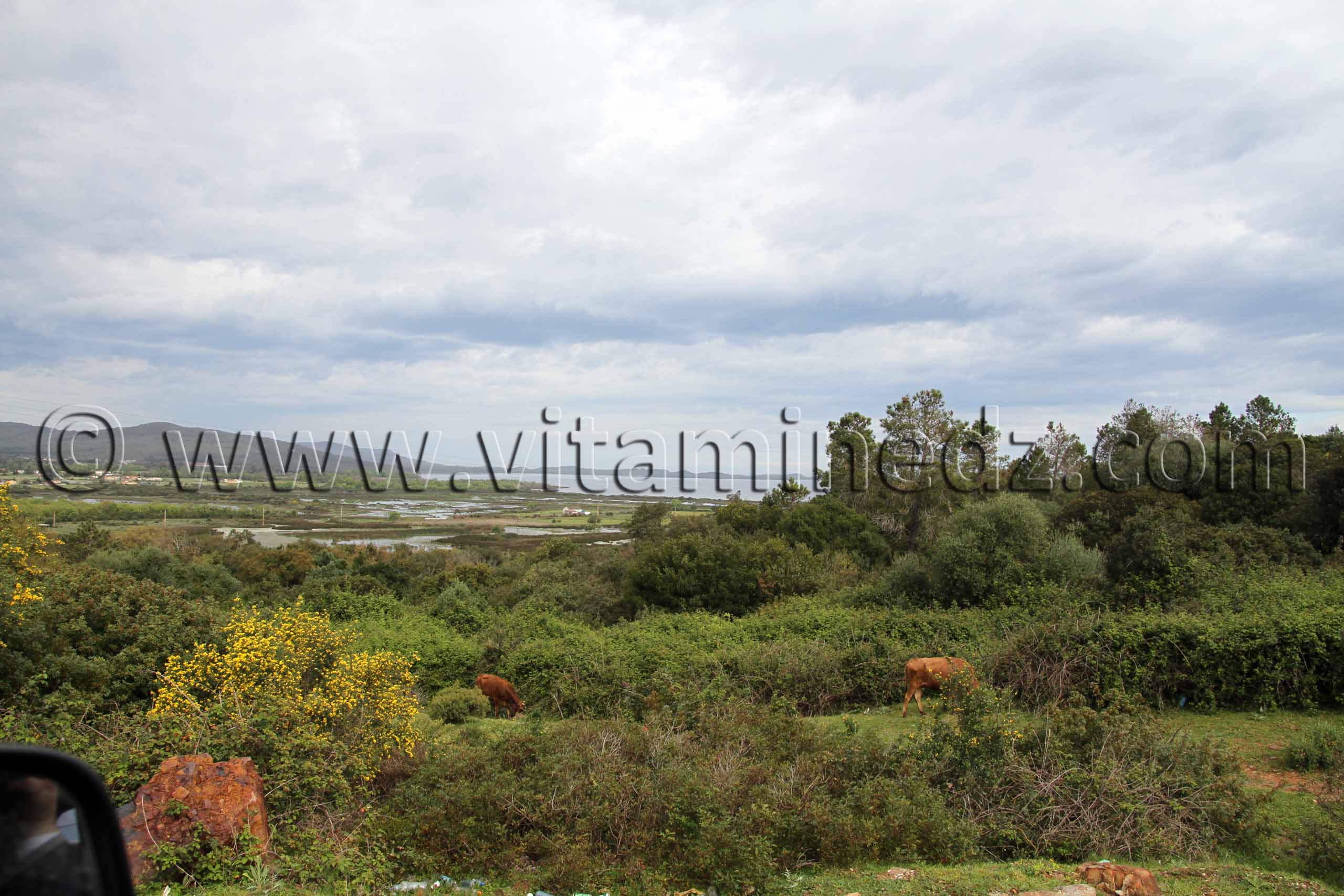 Tourisme  Annaba El Kala, Route du littoral