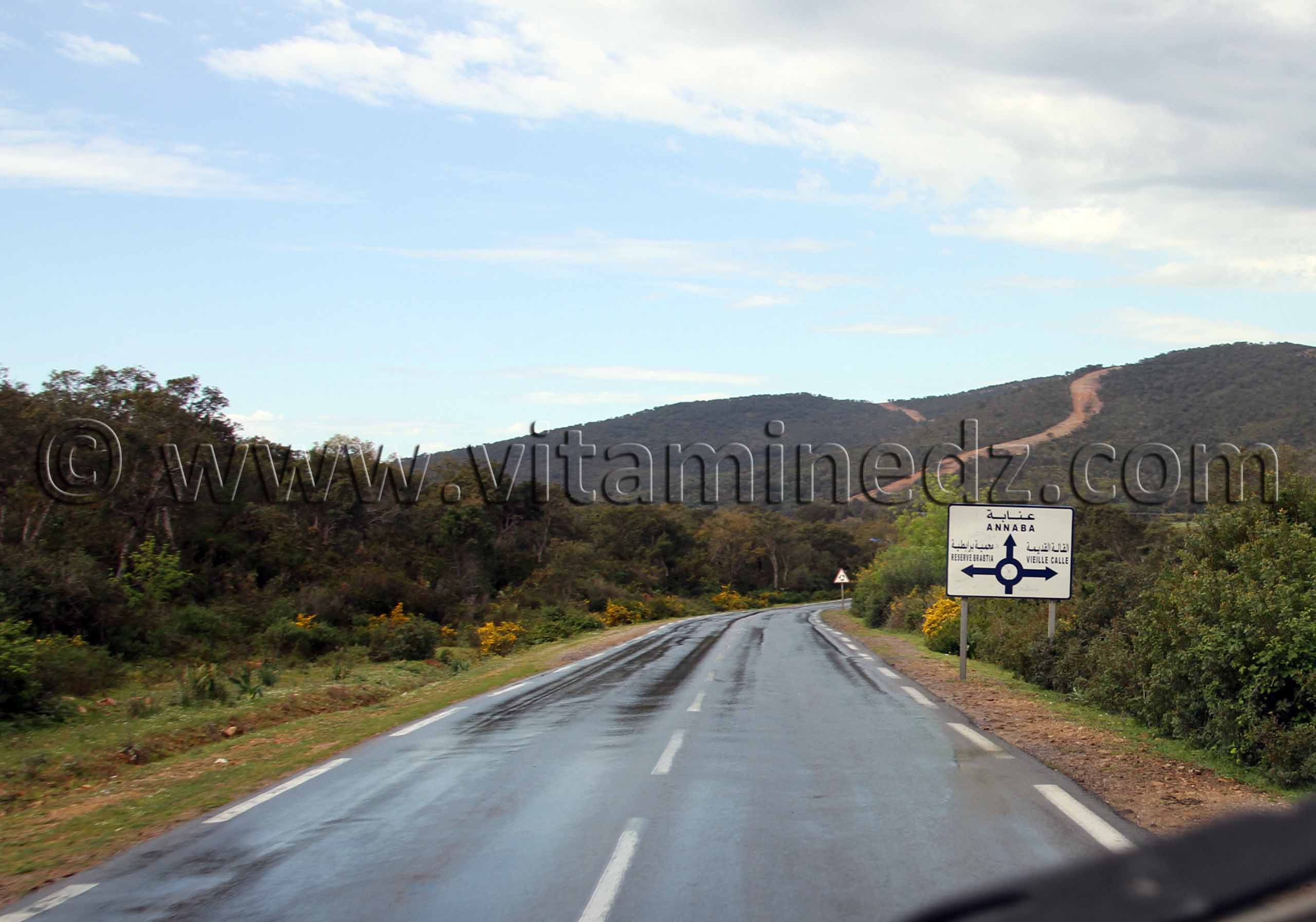 Reserve Brabtia, Vieille Calle, El Kala, Route du littoral