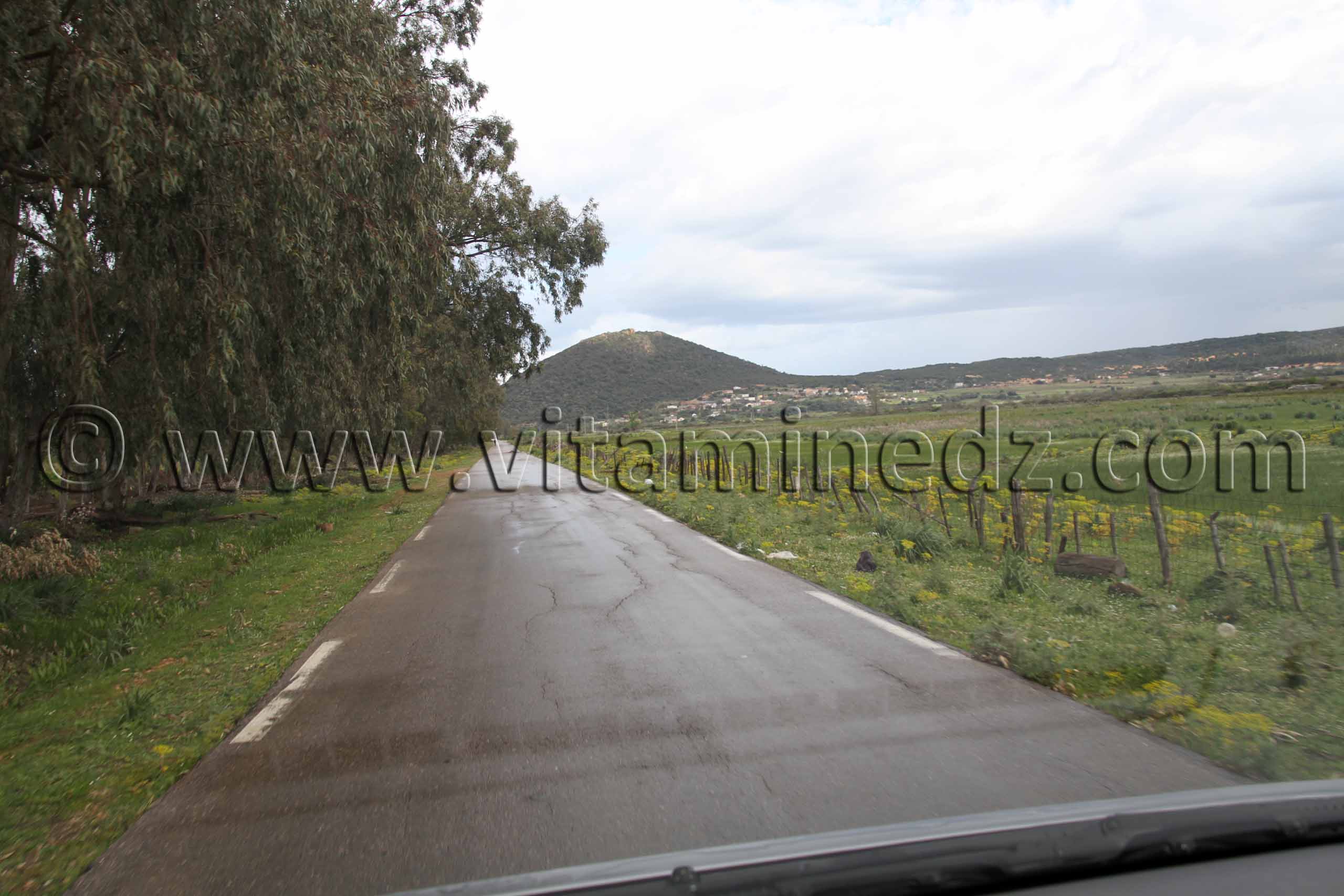 Parc National d'El Kala, Route vers Messida, (Wilaya Tarf)