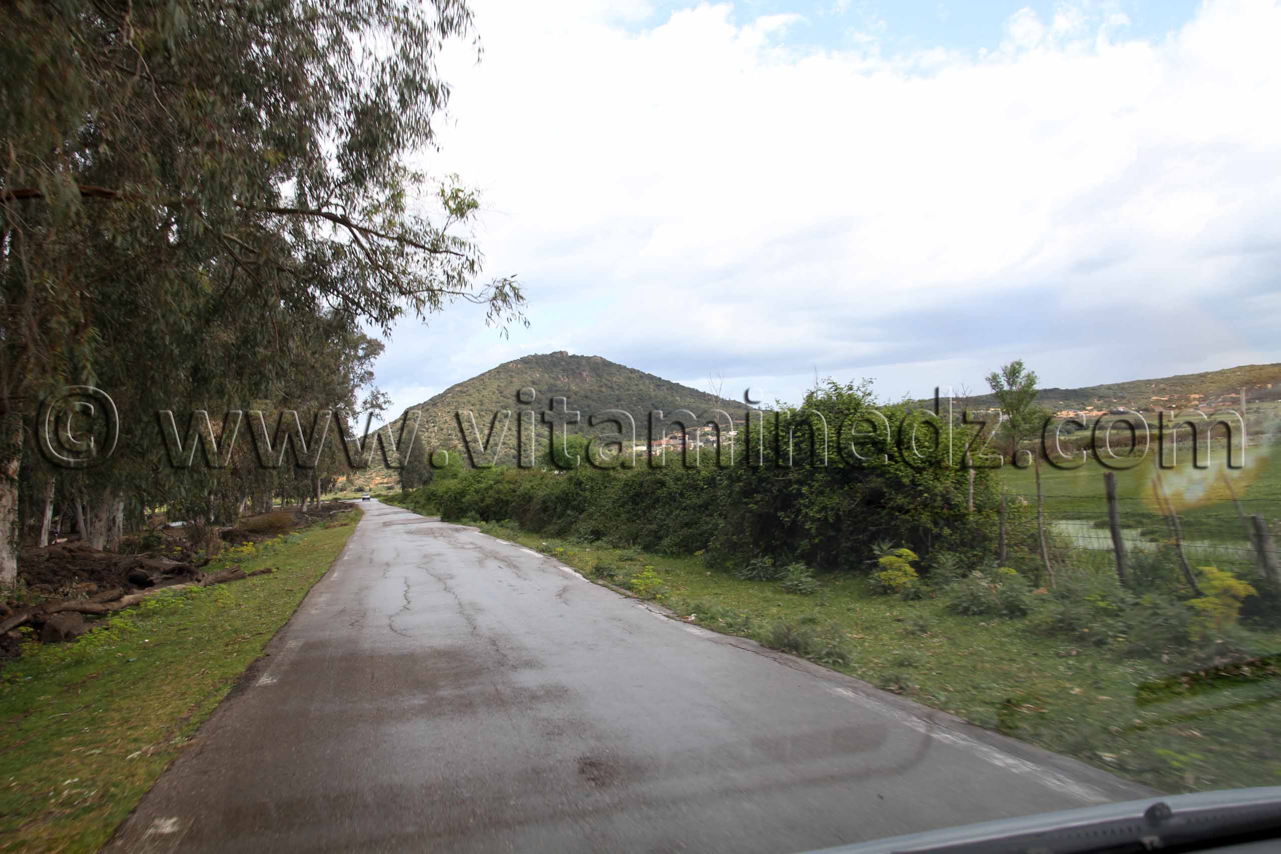 Parc National d'El Kala, Oued Messida, Djbel Messida, Oum Chtab (Wilaya Tarf)