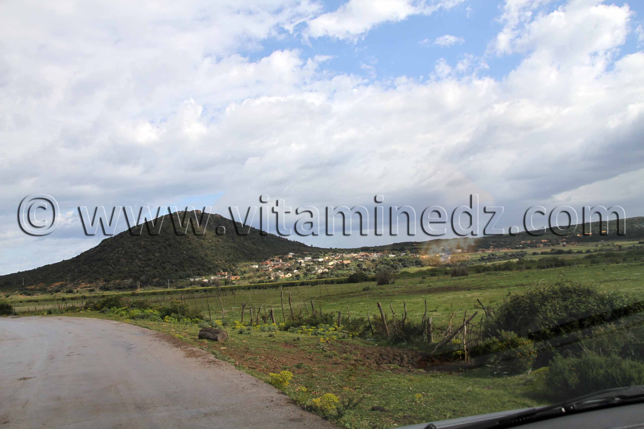 Oum Chtab (Wilaya Tarf)