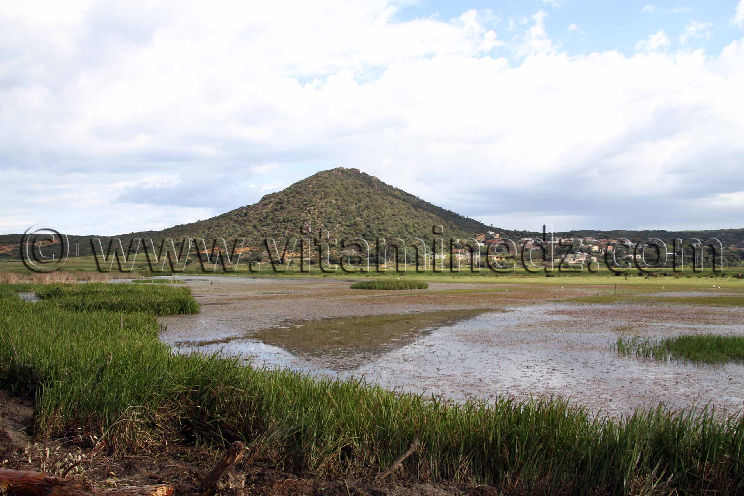 Marecages Parc National d'El Kala, Oued Messida, Djbel Messida, Oum Chtab (Wilaya Tarf)