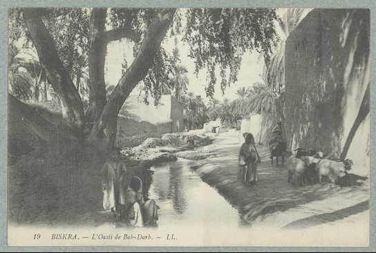 Biskra.- L'Oasis de Bab-Darb