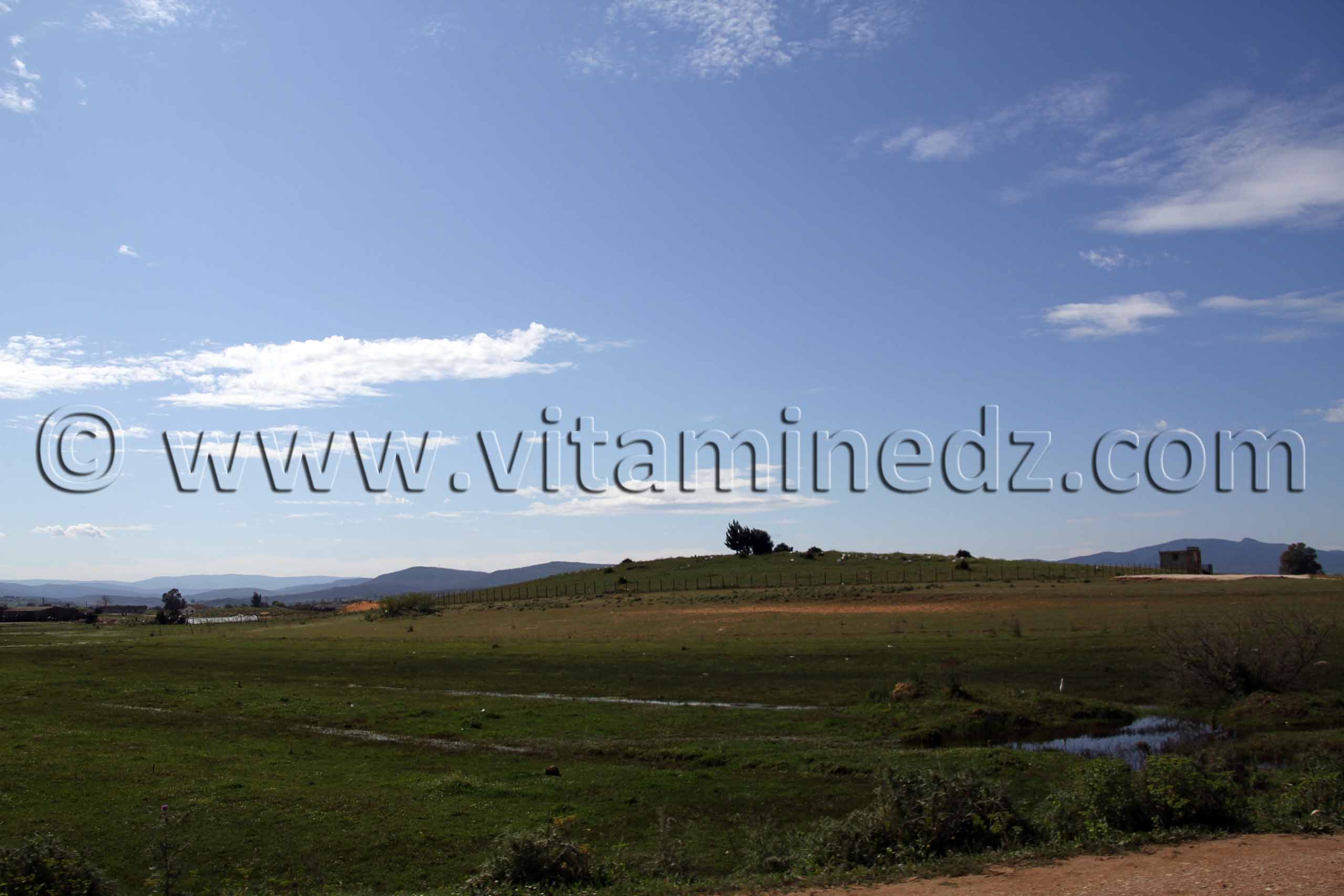 Cimetière à la sortie de Berrihane entre Annaba et El Kala (Wilaya Tarf)