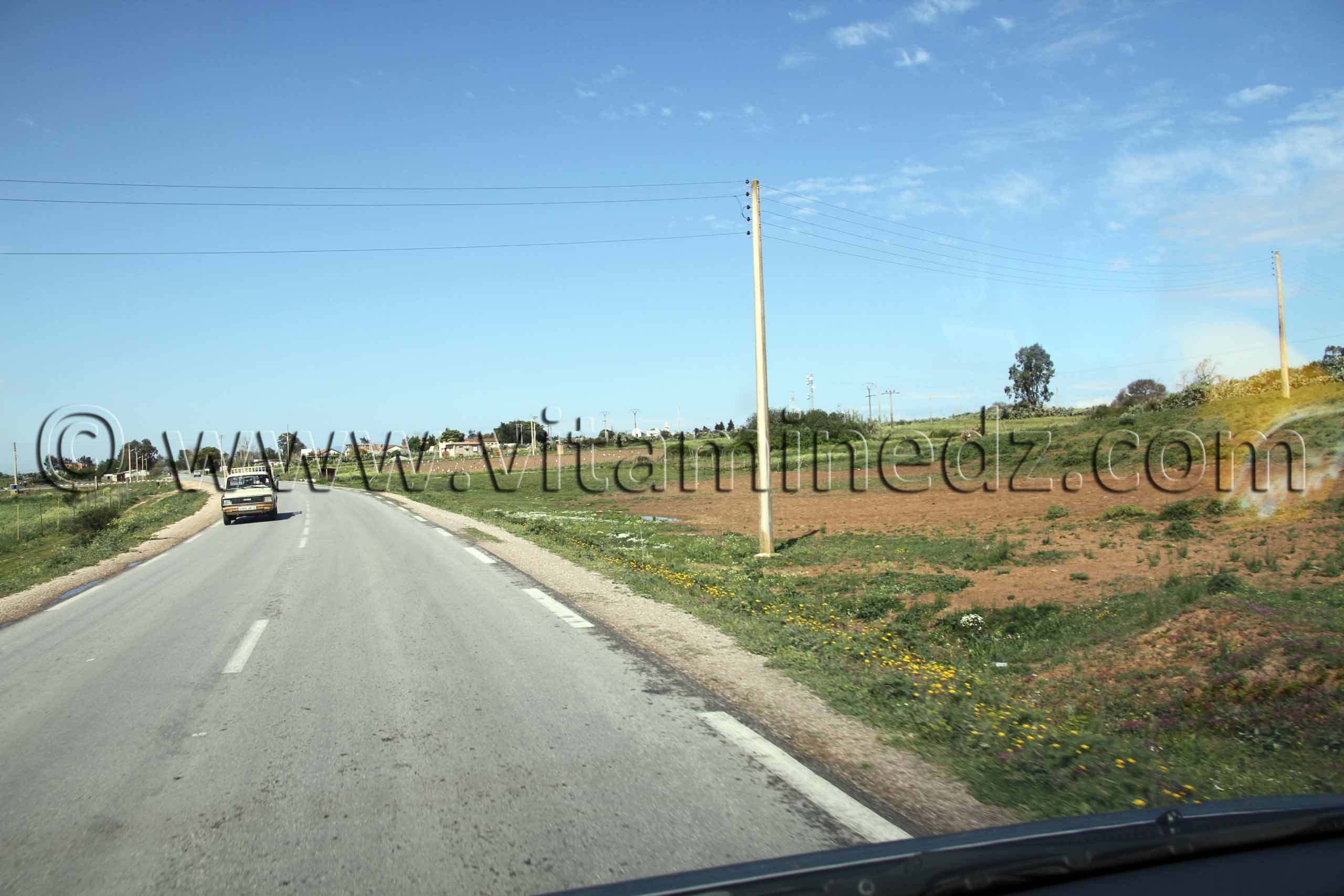 Village de Sebaa, Commune de Berrihane entre Annaba et El Kala (Wilaya Tarf)