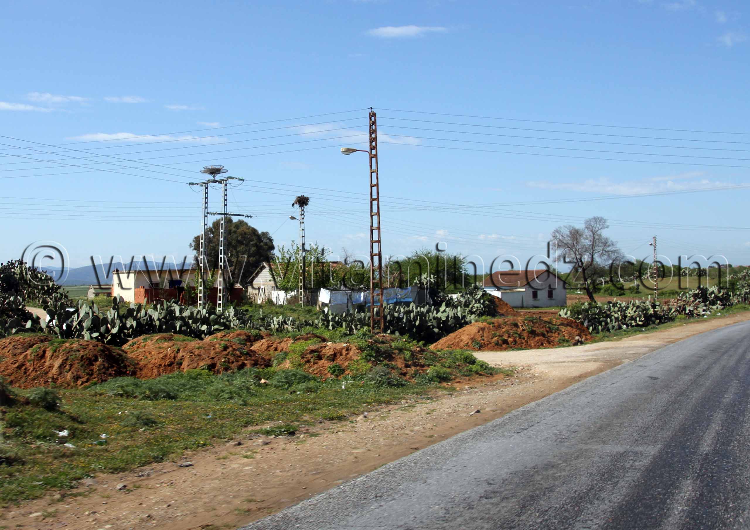 Commune de Berrihane entre Annaba et El Kala (Wilaya Tarf)