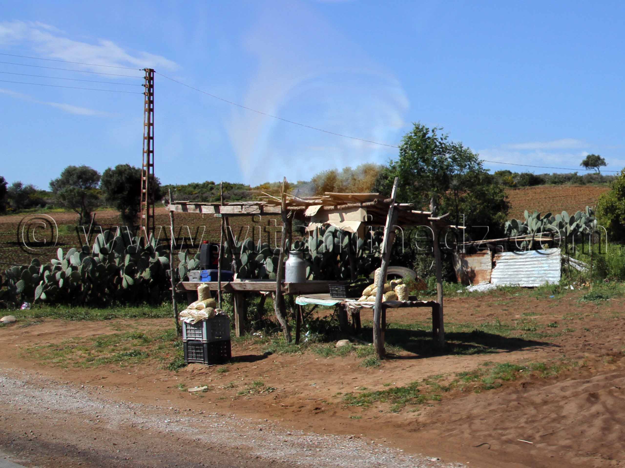 Vendeur de lait et matlou3 pain traditionnel à la commune de Berrihane entre Annaba et El Kala (Wilaya Tarf)