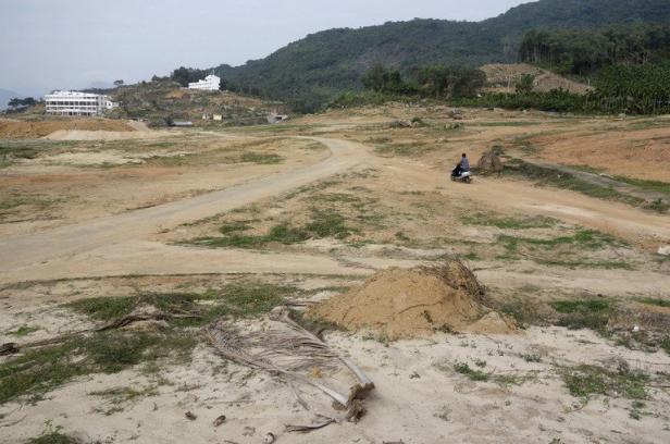 Planète - Chine: Les forêts de Hainan détruites, leur protecteur réduit au silence