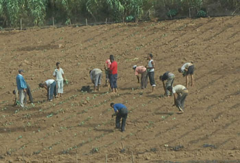 Session ordinaire de l’APW de Médéa: Priorité absolue à l’agriculture