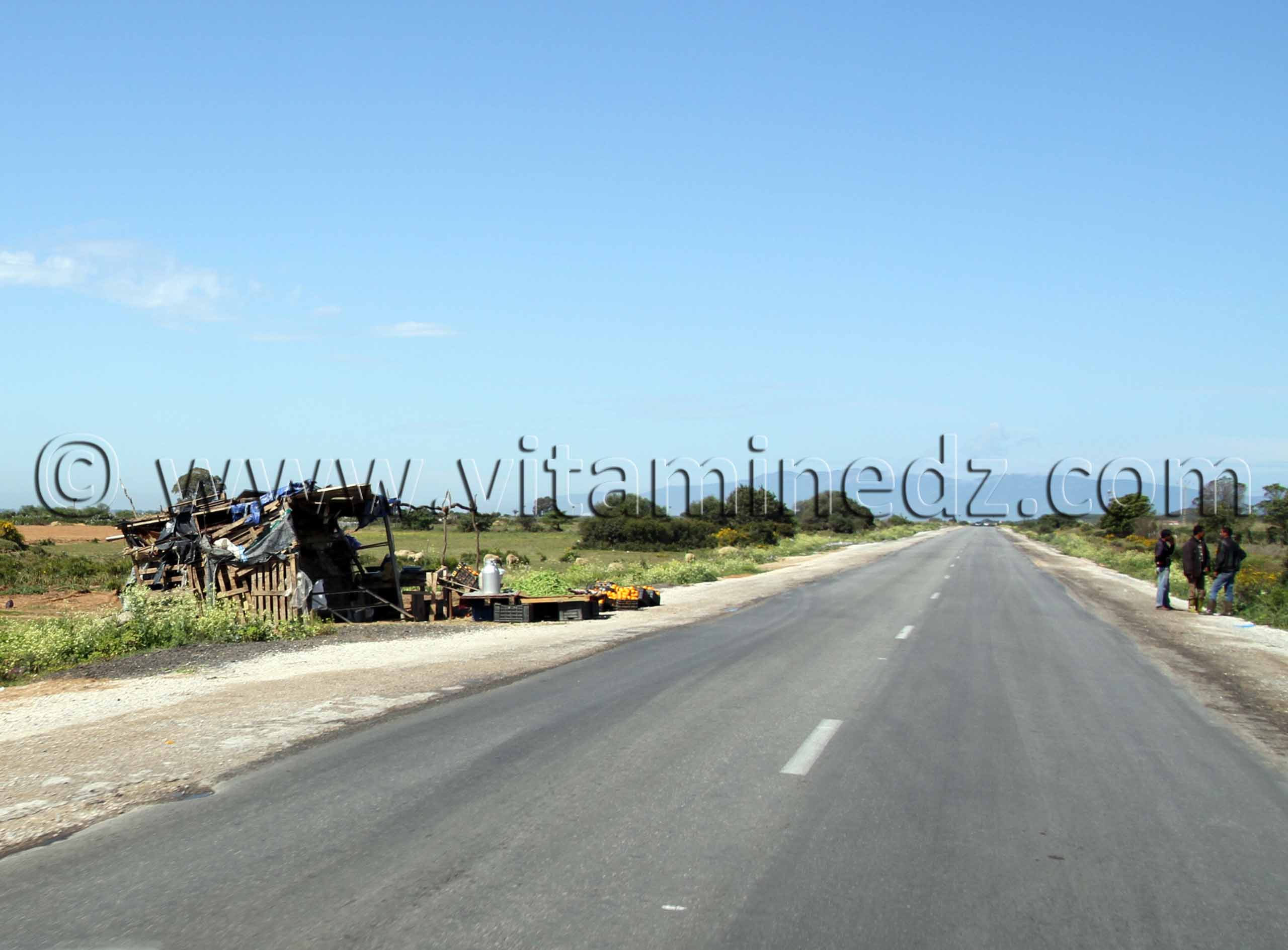Vendeur de lait, Commune de Benmhidi, wilaya de Tarf