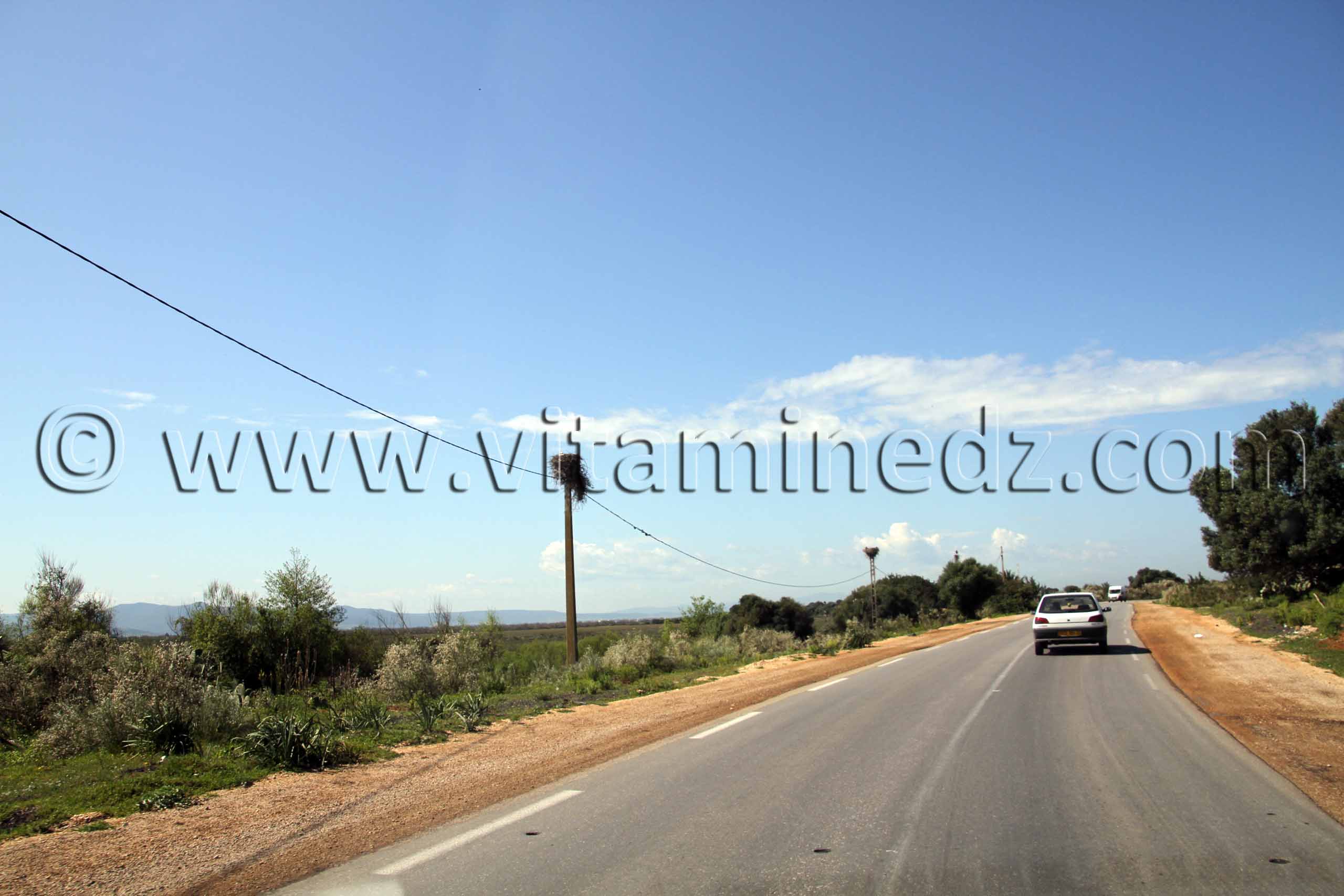 Route vers Annaba, Commune de Benmhidi, wilaya de Tarf