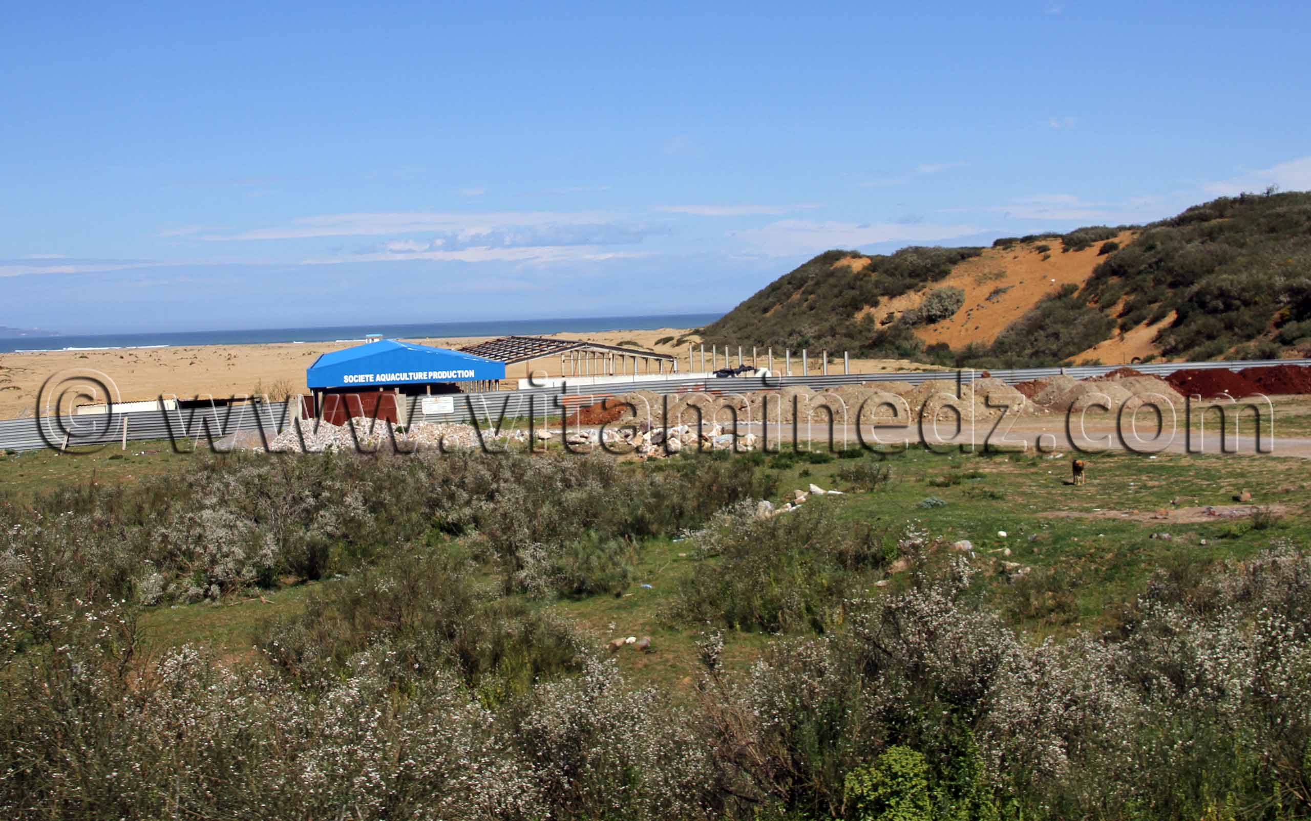 Aquaculture, près de Oued Namoussa, Commune de Benmhidi, wilaya de Tarf